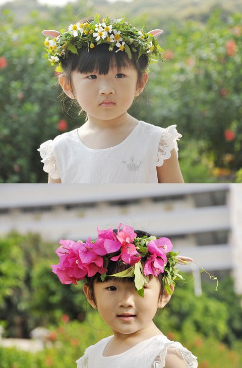 journal_insert_pic_56954511