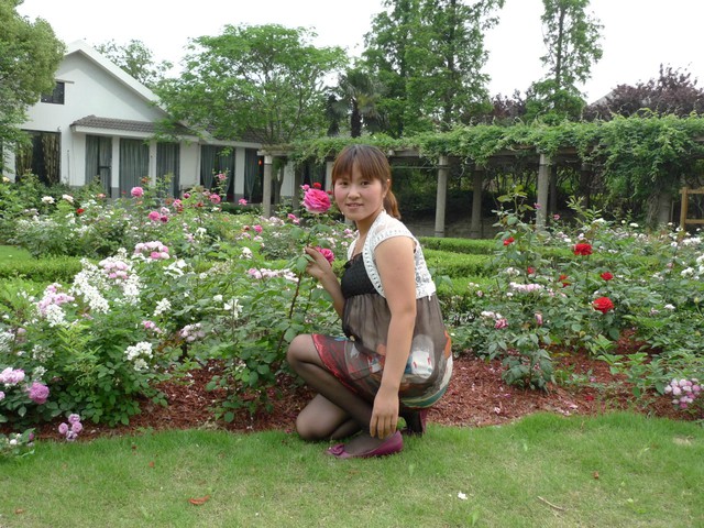 journal_insert_pic_58673561