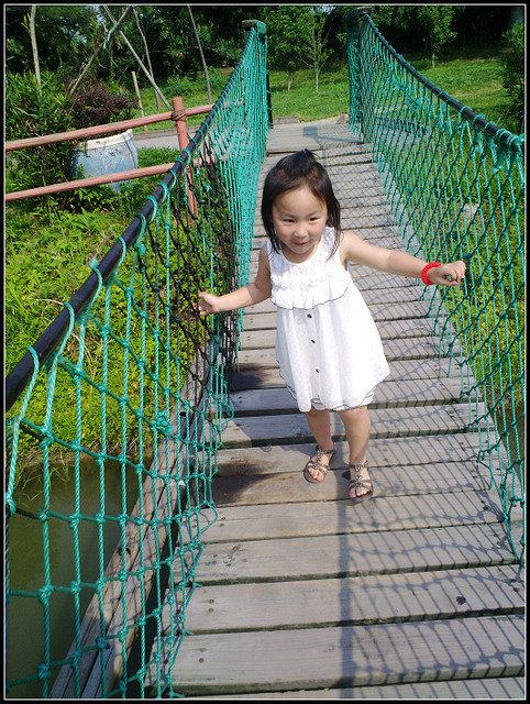 journal_insert_pic_60089914