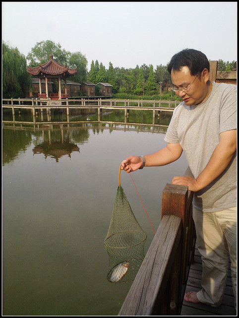 journal_insert_pic_60089964