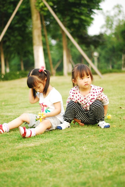 journal_insert_pic_60063116