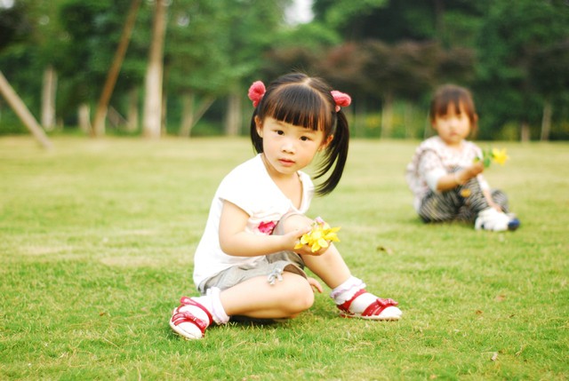 journal_insert_pic_60063171