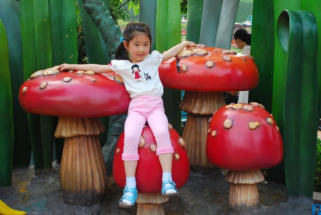 journal_insert_pic_60078525