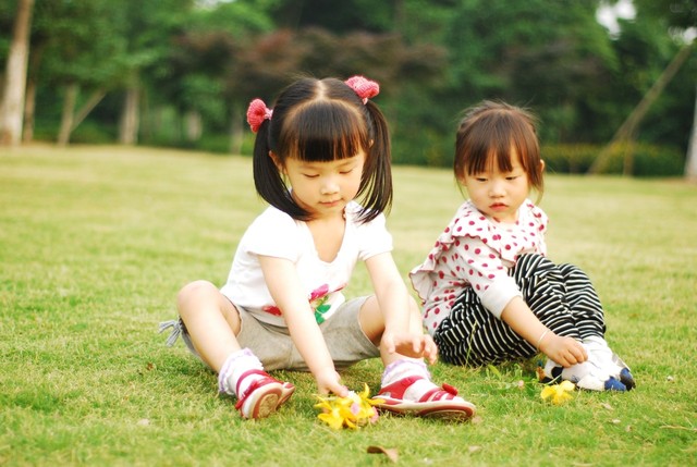 journal_insert_pic_60063201