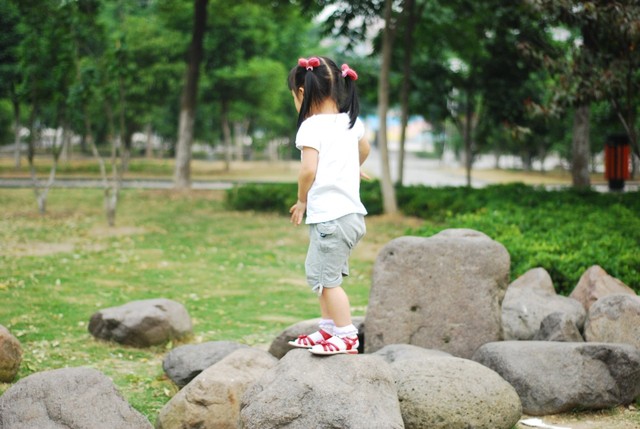 journal_insert_pic_60063402
