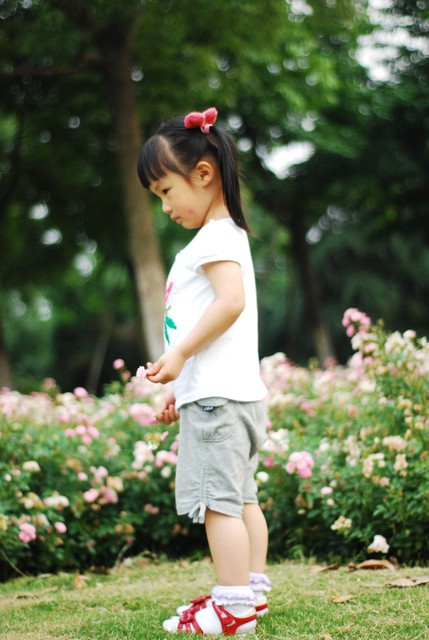 journal_insert_pic_60063346