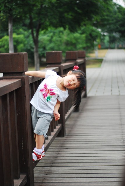 journal_insert_pic_60063567