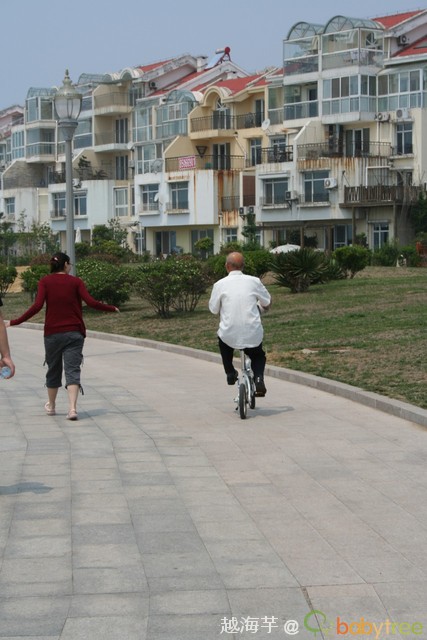 journal_insert_pic_60091755