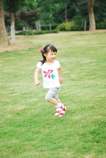 journal_insert_pic_60063381