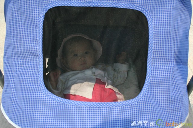 journal_insert_pic_60091427