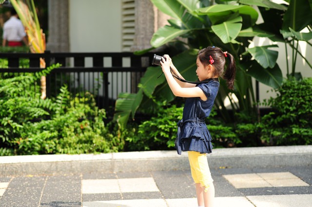 journal_insert_pic_60081398