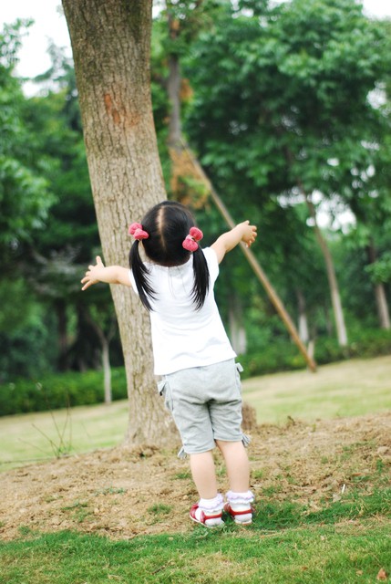 journal_insert_pic_60063439