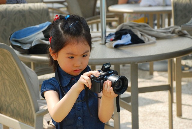 journal_insert_pic_60081363