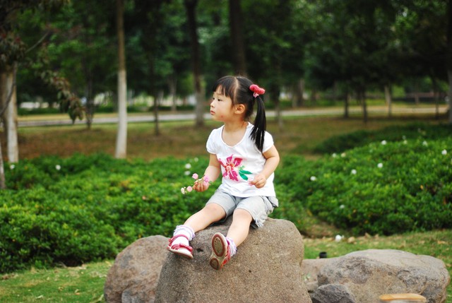 journal_insert_pic_60063310