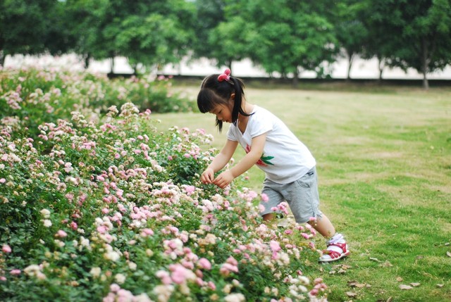 journal_insert_pic_60063373