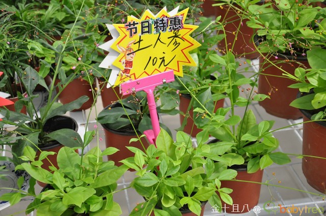 journal_insert_pic_60139594