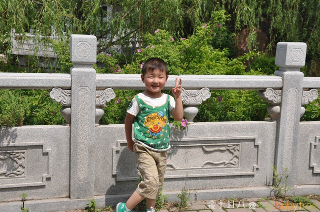 journal_insert_pic_60138823
