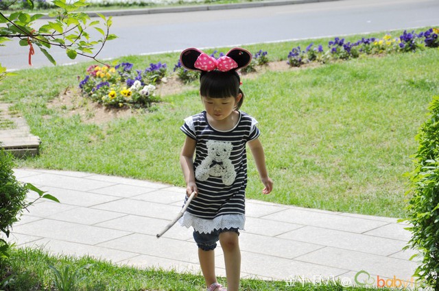 journal_insert_pic_60138524