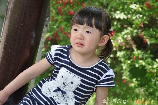 journal_insert_pic_60138944