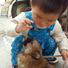 罗小P妈