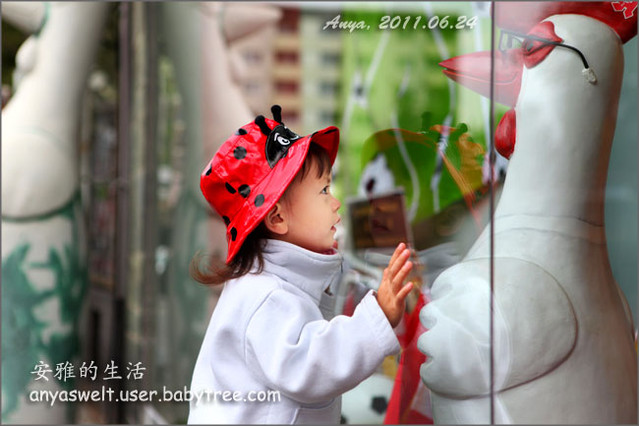 journal_insert_pic_61621414