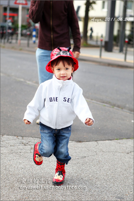 journal_insert_pic_61621373