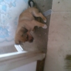 20110708(004).jpg