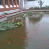 20110705(001).jpg