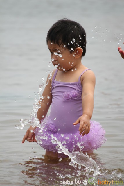 journal_insert_pic_62786359