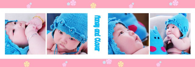 journal_insert_pic_63928446