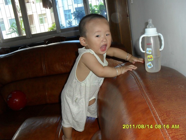 journal_insert_pic_64799524