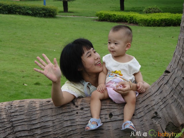 journal_insert_pic_64011041