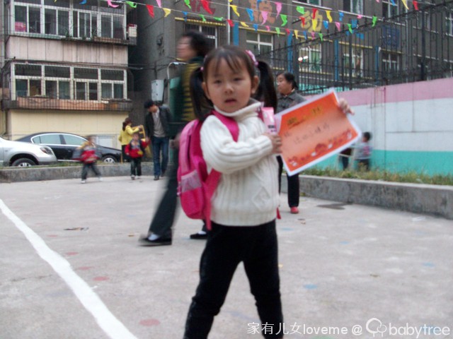 journal_insert_pic_69545675