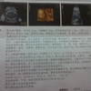 未命名5.jpg