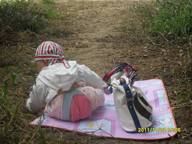 journal_insert_pic_71297472