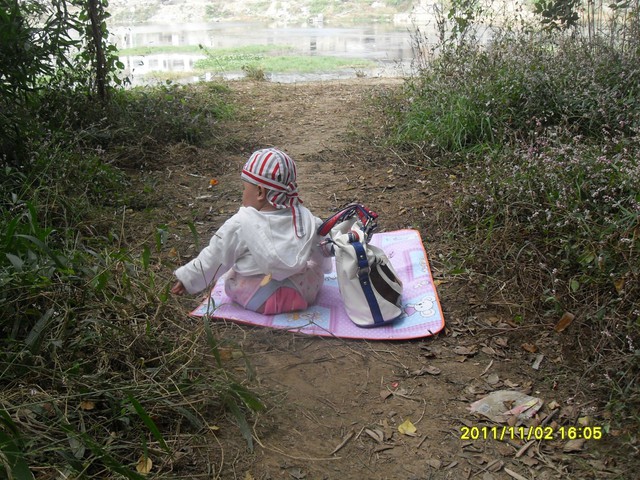 journal_insert_pic_71297491