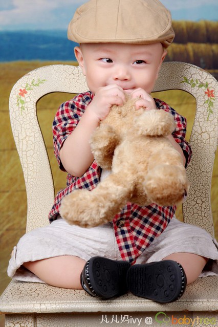 journal_insert_pic_72745002