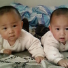 SP_A1294.jpg