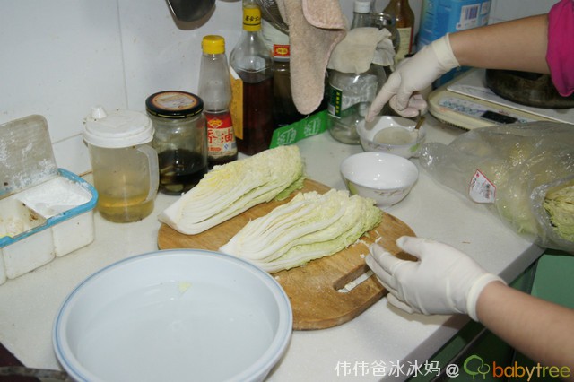 journal_insert_pic_74406037