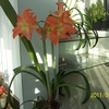 100_7121.JPG