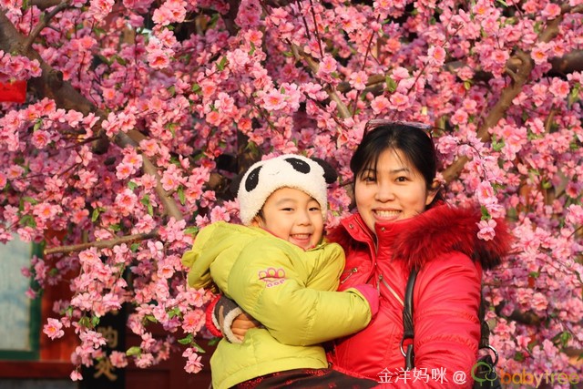 journal_insert_pic_75417764