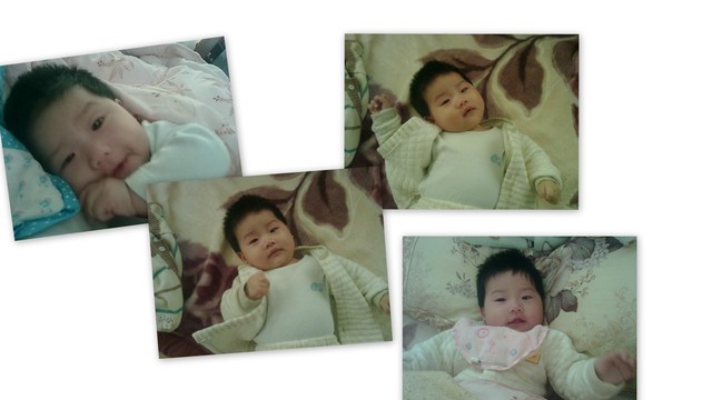 journal_insert_pic_75613804
