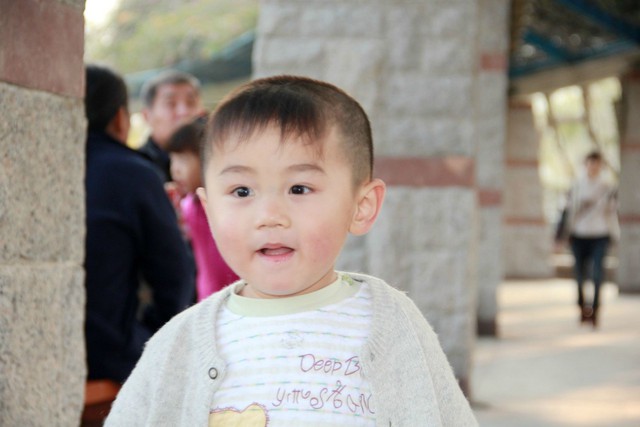 journal_insert_pic_75651918