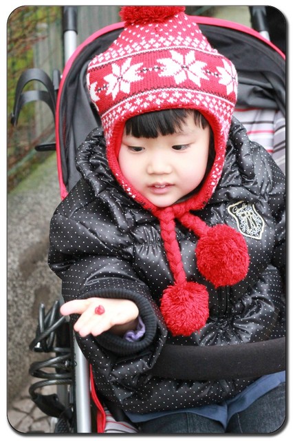 journal_insert_pic_75746940