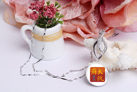 journal_insert_pic_75783361