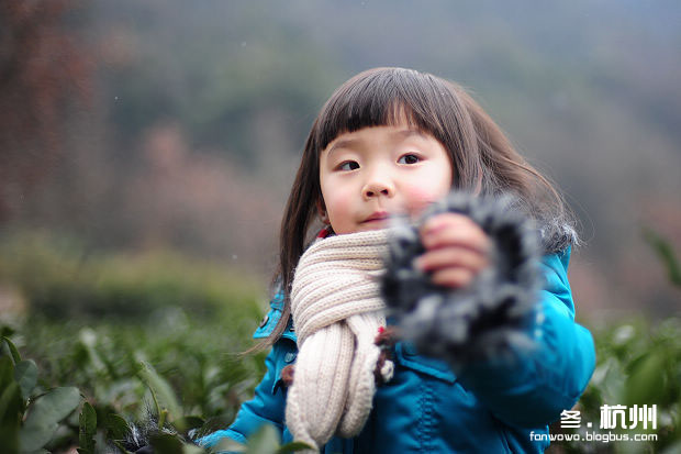 journal_insert_pic_75778174