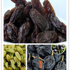 T1IumeXdJhXXaB_wA8_100528_jpg_310x310_副本.jpg