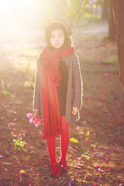 journal_insert_pic_75922143