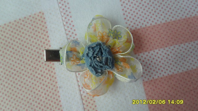 journal_insert_pic_75951300