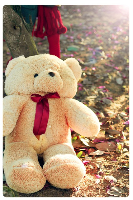 journal_insert_pic_75922148